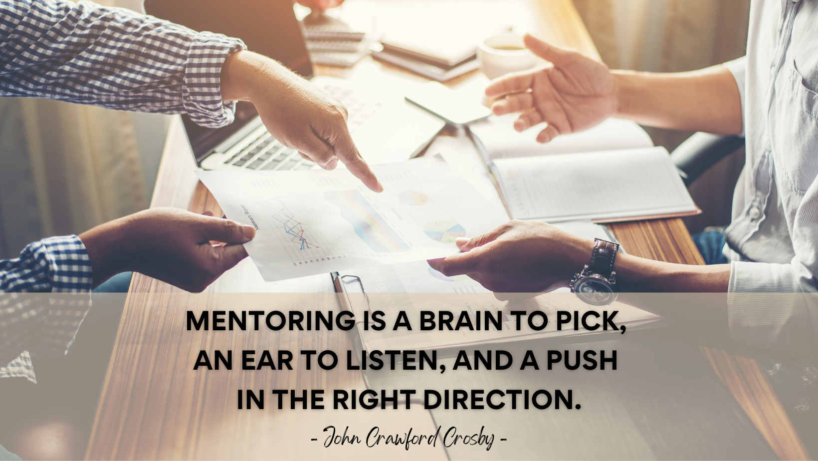 SIRS Mentorship Programmes